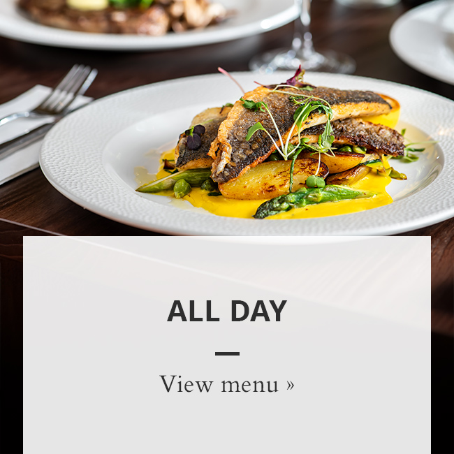 New Menu